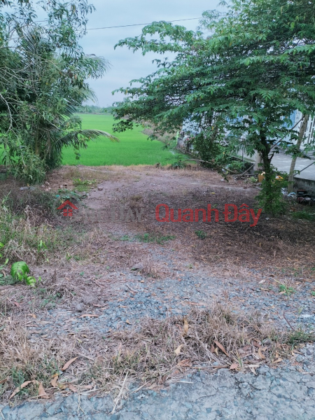 BEAUTIFUL LAND - GOOD PRICE - OWNER Urgently Selling Lot of Land in Nice Location in Tan Lap 2 Commune, Tan Phuoc District, Tien Giang Vietnam Sales ₫ 600 Million