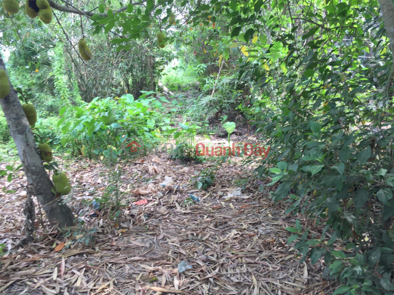 OWNER Needs to Sell Mini Garden Land Frontage on Rural Highway in Nhon Nghia, Phong Dien., Vietnam, Sales, đ 700 Million