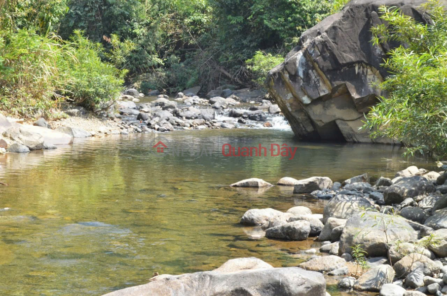 HOT HOT HOT –CHÍNH CHỦ CẦN BÁN ĐẤT Đường Quốc Lộ 20, Xã Đạ Huoai 2 (mới),H.Đạ Huoai (cũ),Lâm Đồng Niêm yết bán