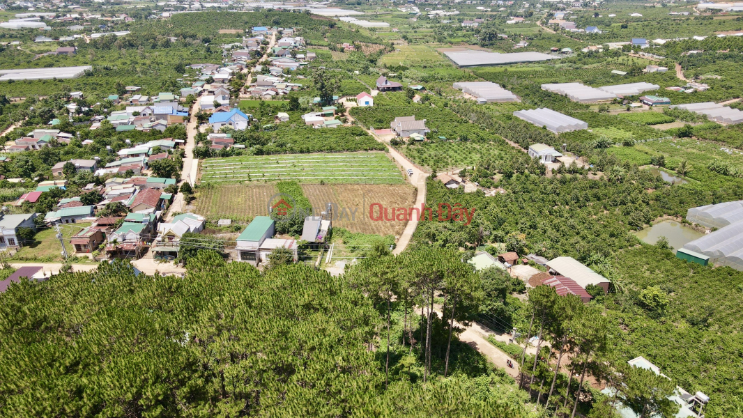 Liquidation of the last plot of land planned by Me Linh in Da Lat City is only 860 million Sales Listings