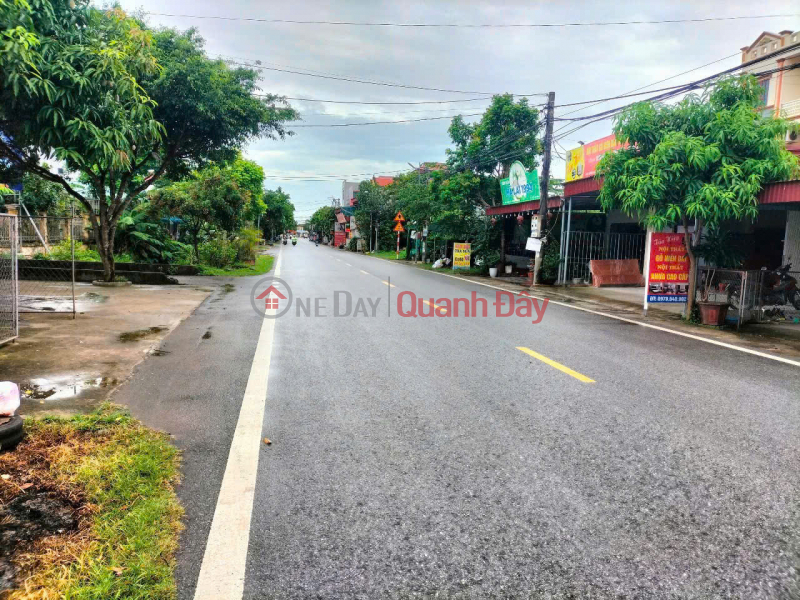 Property Search Vietnam | OneDay | Residential | Sales Listings | LAND FOR SALE ON BUSY NATIONAL HIGHWAY IN VU THU - 310M2 FRONTAGE 15M RARE