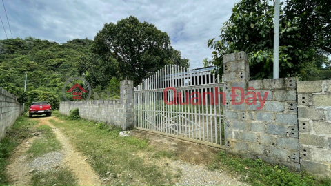 Corner lot 910m2, with 400tc Lac Thuy HB 800m from HCM highway On land with available house and orchard Price _0