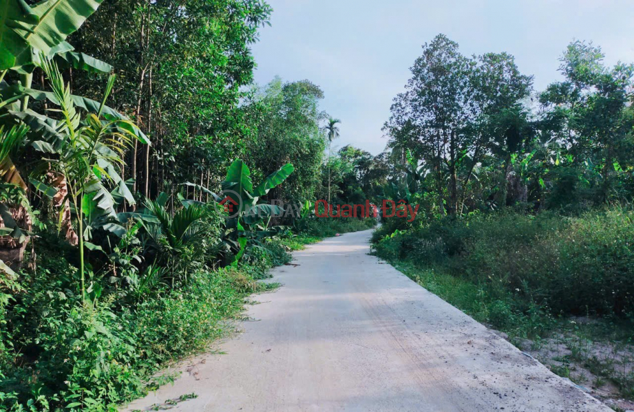, Please Select, Residential Sales Listings, đ 749 Million