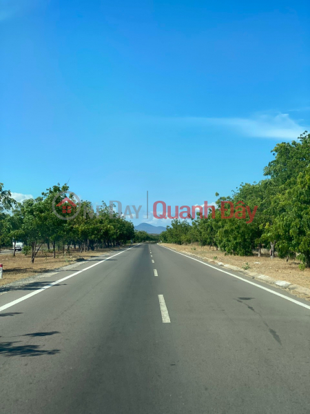 BEAUTIFUL LAND - GOOD PRICE GENUINE For Quick Sale 2 Beautiful Land Lot Super Prime Location In Phan Thiet City | Vietnam, Sales | đ 29.25 Billion