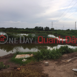 Shrimp pond land for sale includes: 35 workers. Price: 85 million/person. _0