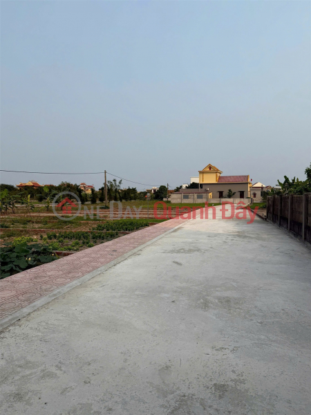 Property Search Vietnam | OneDay | Nhà ở Niêm yết bán, Đất đẹp- giá tốt Chính chủ cần bán nhanh lô đất đẹp tại thị trấn Quất Lâm tỉnh Nam Định