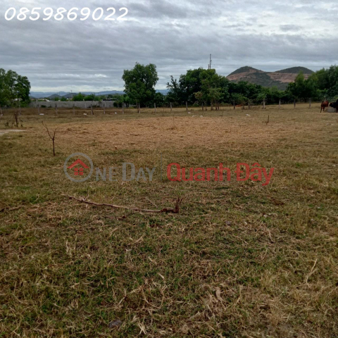 OWNER NEEDS TO QUICKLY SELL A LOT OF LAND WITH A GOOD LOCATION IN HONG LIEM _0