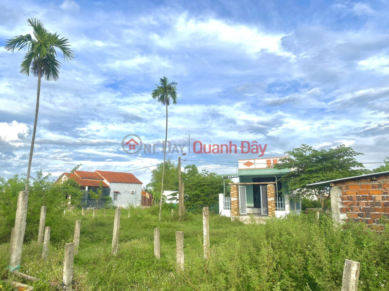 Property Search Vietnam | OneDay | | Niêm yết bán, Bán lô góc đất gần QL14B Đại Hiệp giá chỉ 6xx, sổ hồng