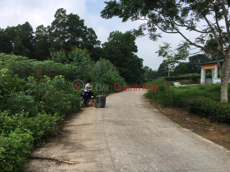 Property Search Vietnam | OneDay | Residential, Sales Listings The owner needs to sell quickly the land lot belonging to Le My - Phu Ninh - Phu Tho.