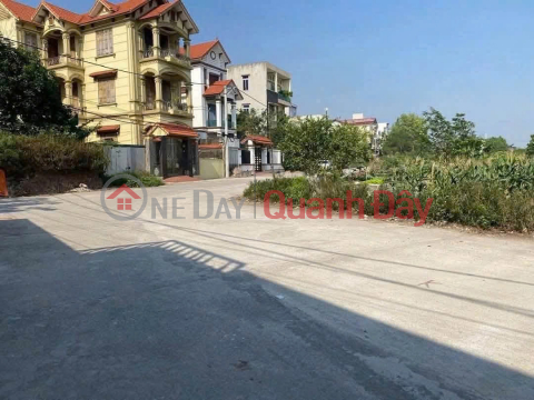 Chính chủ bán 2 lô đất đấu giá số 7 và số 24 tại Đồng Khay, Văn Hoàng, Phú Xuyên - Ô tô vào tận đất _0