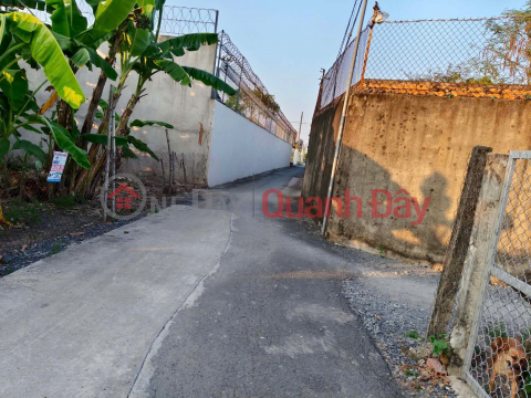 PRIME LAND - GREAT PRICE Urgent Sale: Plot of land 37, Hamlet 3, Nhut Chanh, Doctor Road, Nhut Chanh Commune, Ben Luc District, Long An Province. _0
