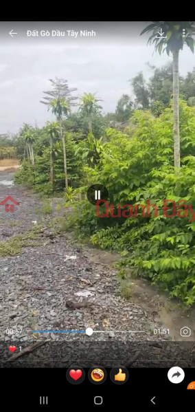 Beautiful Land - Good Price - Beautiful Location Land Lot For Sale In Tay Ninh province Vietnam Sales ₫ 850 Million