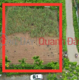 The only super cheap, super nice plot of land left in Nam Phuong Tien, Chuong My, Hanoi. Price is slightly 5 million\/m2 Corner lot with 2 sides _0