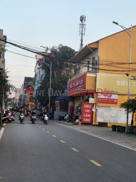 Land for sale on Road 205, main business axis of Me So, Van Giang, 6.5m frontage, near Ring Road 4 Sales Listings