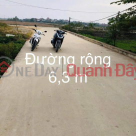 Owner sells auctioned land in the old Hoang Long commune center (new Phuong Duc commune, Hanoi city) _0