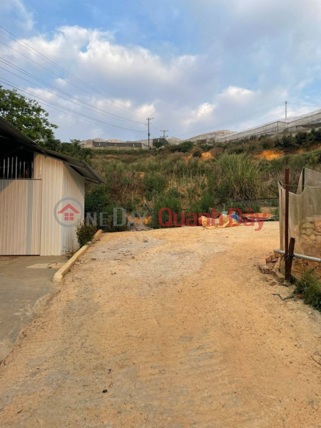 The owner sells the land plot of sulphur ton Phat, cool camp, Da Lat. Sales Listings
