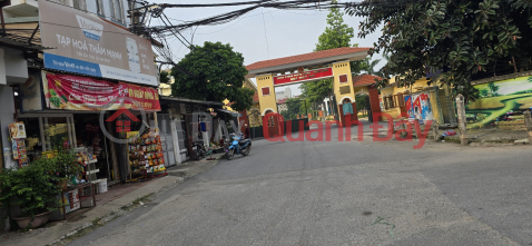 Bán đất phố Tư Đình, quận Long Biên, 113m2, MT 4.3m, ô tô tránh, làm VP, Chung cư mini _0