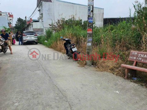 BEAUTIFUL LAND - GOOD PRICE - For Quick Sale Land Lot Prime Location In Binh Thuy District, Can Tho _0