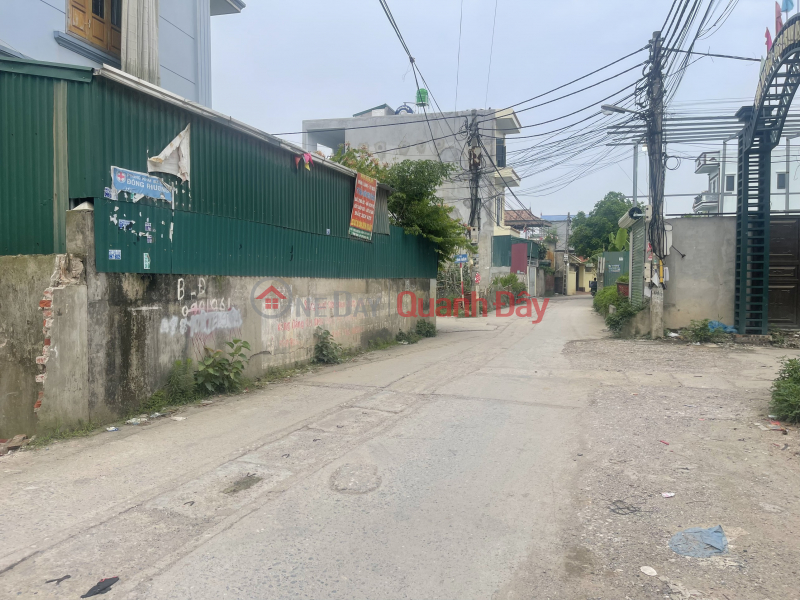 Property Search Vietnam | OneDay | Residential | Sales Listings | Goodwill Land plot for sale, price Dinh Quang, My Hung Thanh Oai, Price 7xtr\\/m2.