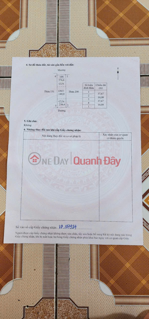 PRIME LAND - GREAT PRICE - QUICK SALE! INVESTMENT PLOT WITH HIGH PROFIT POTENTIAL IN KIM SON DISTRICT, NINH BINH PROVINCE _0