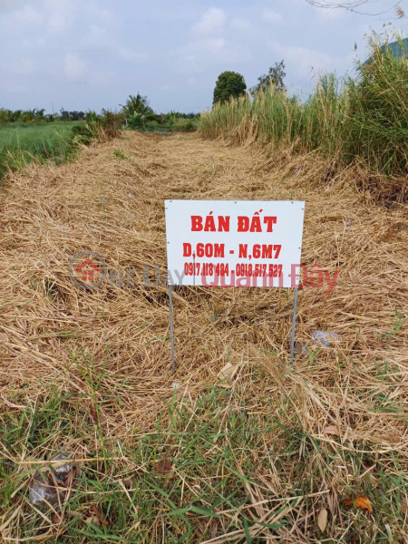 GOOD LOCATION - PROFITABLE INVESTMENT - Owner Needs to Sell Land in Tan Hung Dong Commune, Cai Nuoc, Ca Mau Sales Listings
