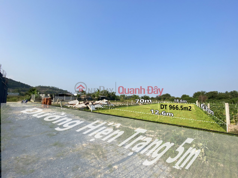 Land for sale in Phuoc Dong Nha Trang near Phong Chau street, 900m from Dat Lanh resettlement area, price only 4.6 million\\/m2 Sales Listings