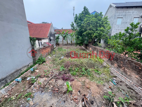 Beautiful land in Bach Da village, Kim Hoa, Me Linh, Hanoi. Full residential land. Car parking. Cheapest price in the area _0