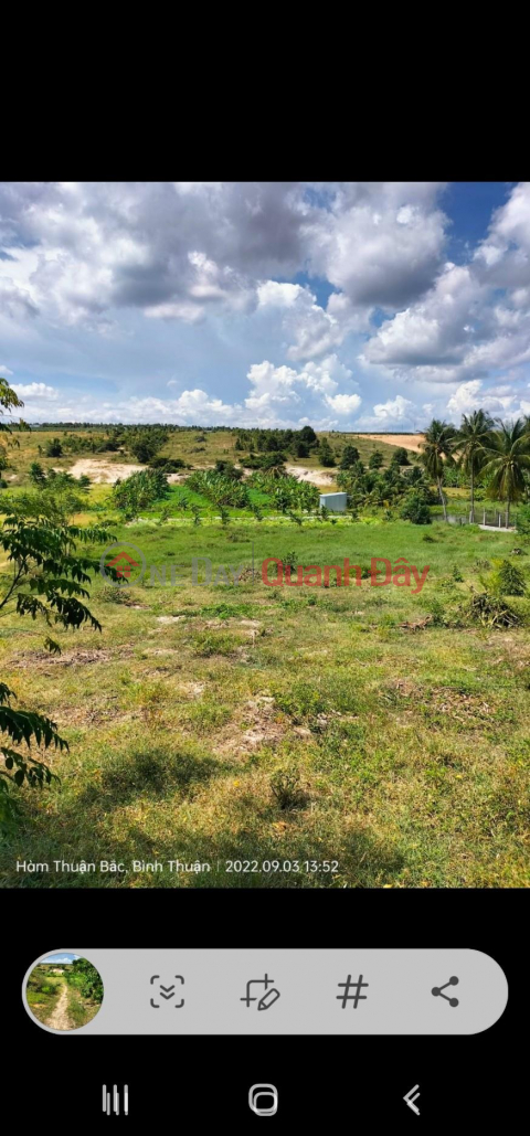 Beautiful Land - Good Price - Land Lot for Sale, Nice Location, Ham Duc Commune, Ham Thuan Bac, Binh Thuan _0