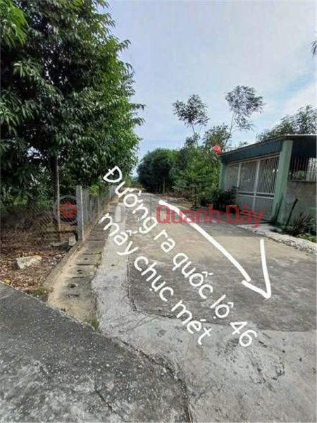 PRIME LOCATION - INVESTMENT OPPORTUNITY - LAND FOR SALE IN KIM MY VILLAGE, NGHI AN COMMUNE, VINH CITY, NGHE AN PROVINCE, Vietnam Sales | đ 2.9 Billion