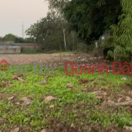 BEAUTIFUL LAND - GOOD PRICE - Owner Advertises Need Money For Investment Urgent Sale Land Plot In Ta Thanh Oai _0