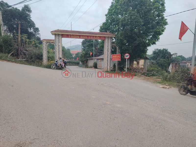 Property Search Vietnam | OneDay | Residential Sales Listings, Land for sale by owner, area 1200m2 \\/ 100m2 residential land in Hoa Son, Luong Son, HB