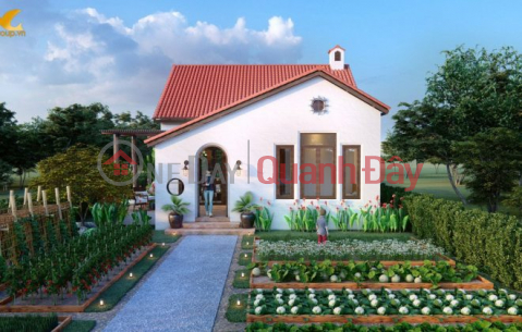 OWN A LUXURIOUS GARDEN HOME AT GREENERY HOUSE LONG TAN – BA RIA VUNG TAU _0