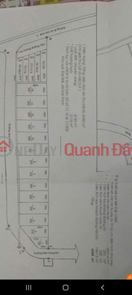 SUPER BEAUTIFUL LAND - INVESTMENT PRICE - Owner Sells 250M2 Land Lot in Dai Thinh Commune, Me Linh, Hanoi (Dai Thinh Center),Vietnam | Sales, đ 12 Billion