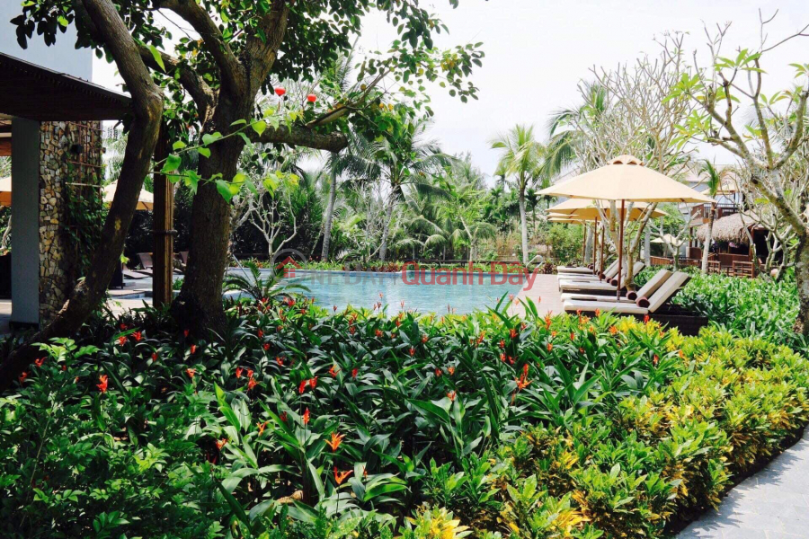 Property Search Vietnam | OneDay | Nhà ở, Niêm yết bán chuyển nhượng Khách Sạn Resort 4 sao Phố Cổ Hội An Quảng Nam Giá đầu tư