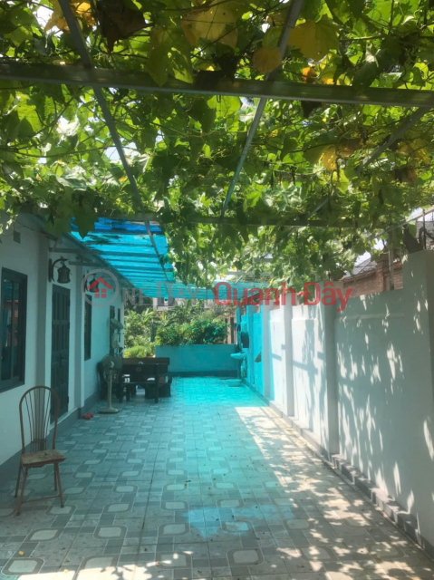 LAND OWNED BY THE OWNER - GOOD PRICE - Garden Land for Sale in Soc Son - LARGE AREA - NEAR MAIN ROAD _0