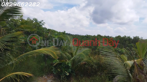 Bán Đất Vườn Cây Ăn Trái Xã Hòa Long, Đồng Tháp. DT 44000m2, SHR, Giá 22 Tỷ. _0