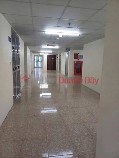 Cơ hội sở hữu CĂN GÓC HIẾM tại Nam Trung Yên - Pháp lý chuẩn - Giá đầu tư - Gần công viên Việt Nam | Bán đ 4,79 tỷ