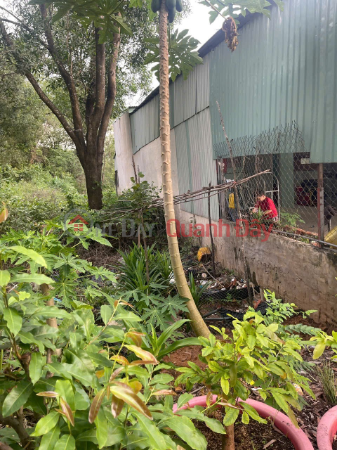 PRIME LAND - GREAT PRICE - Owner Selling a Potential Plot of Land in Tan Uyen Ward, Ho Chi Minh City _0
