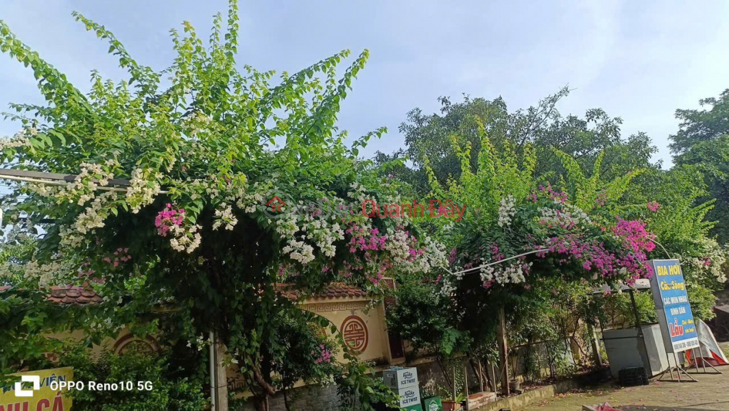For only 4.3 billion VND (negotiable),customers can own a house with an area of 316m² (112m² of residential land) at... Vietnam | Sales | đ 4.3 Billion