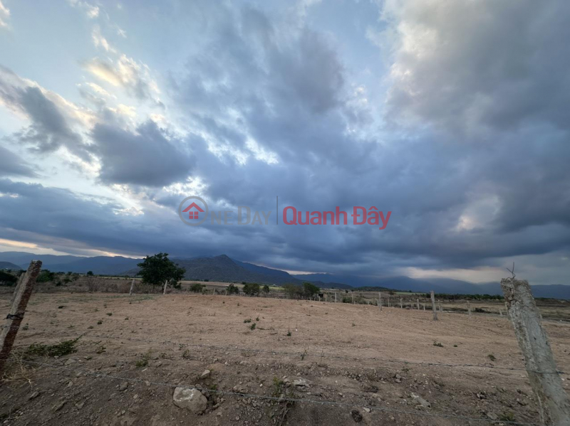 OWNER FOR SALE 2 Lots Of Land In Dong Suoi May Hamlet - Quang Son - Ninh Son - Ninh Thuan | Vietnam Sales | đ 300 Million