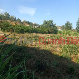 BEAUTIFUL LAND - GOOD PRICE - Owner Needs to Sell Quickly Land Lot in Dai Ninh Village - Ninh Gia - Duc Trong - Lam Dong _0