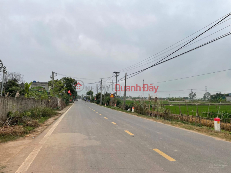 LAND FOR SALE ON THE MAIN ROAD OF QUYNH MY COMMUNE (NOW PART OF QUYNH PHU DISTRICT) - PRIME LOCATION FOR BUSINESS | Vietnam | Sales | đ 2.3 Billion