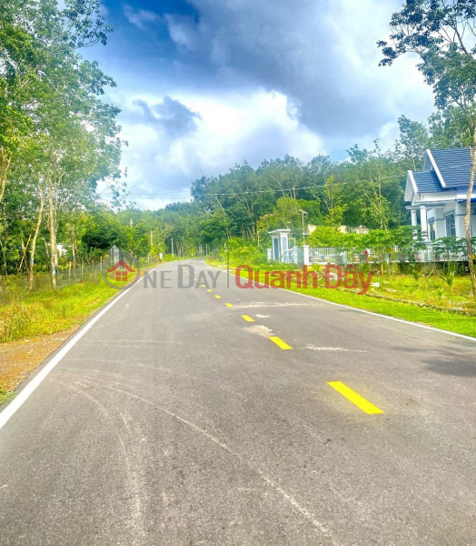 BEAUTIFUL LAND - GOOD PRICE - Only 400 million Immediately Own 250m2 Residential Land In Minh Thang, Chon Thanh, Vietnam Sales đ 400 Million