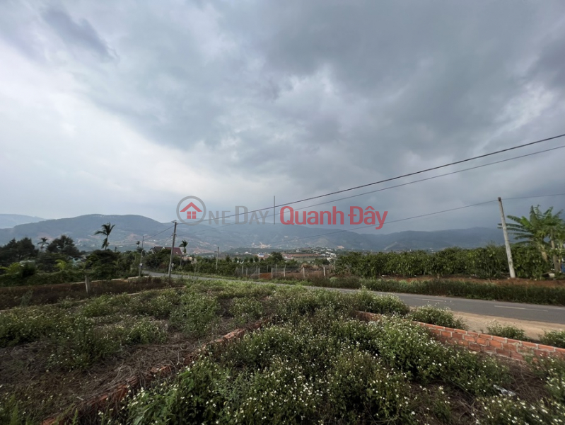 OWNERS QUICK SALE OF LAND LOT FRONT OF LARGE ASTHMA ROAD Beautiful Location In Lam Ha, Lam Dong | Vietnam | Sales ₫ 5.4 Billion