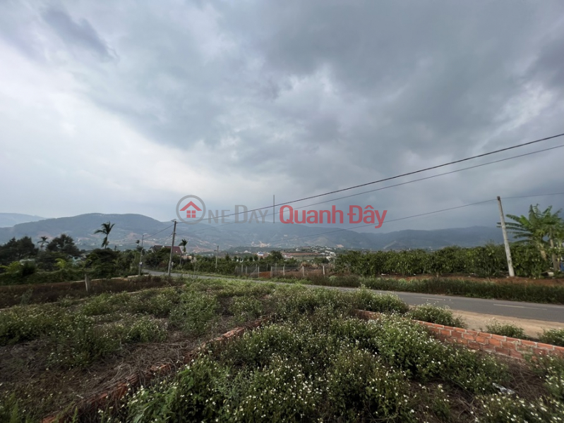 OWNERS QUICK SALE OF LAND LOT FRONT OF LARGE ASTHMA ROAD Beautiful Location In Lam Ha, Lam Dong | Vietnam | Sales | đ 5.4 Billion