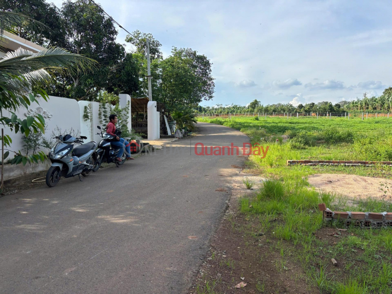 đ 670 Million | Urgent Sale: 5.3 x 25 meters, widening to 7 meters at the rear - Bau Chinh (new Kim Long commune),Ho Chi Minh City