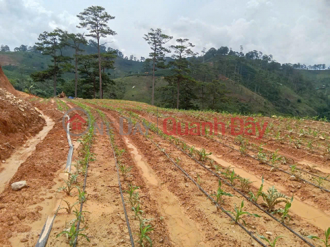 Bán đất tại xã Đạ Sar, Lạc Dương, Lâm Đồng, 400 triệu/1000m2 đẹp, nhiều tiện ích _0