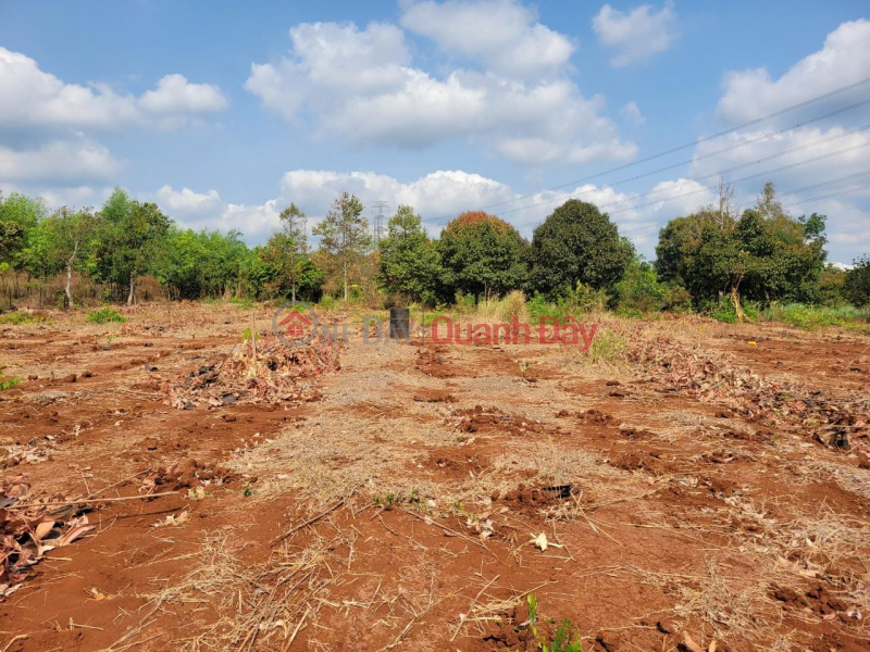 đ 59 Billion The owner needs to quickly sell a beautiful plot of land - Land for perennial crops in Suoi Tre Commune, Long Khanh, Dong Nai