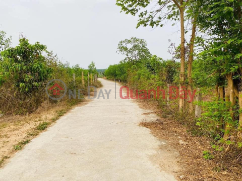 BÁN LÔ ĐẤT QH FULL THỔ CƯ 500,6M2 - NGAY MẶT TIỀN ĐƯỜNG RỘNG 5,5m TẠI SUỐI TIÊN - DIÊN KHÁNH! _0