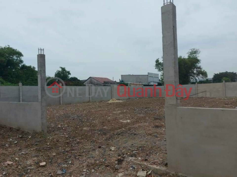 BEAUTIFUL LAND - GOOD PRICE - For Sale Land Lot Great Location In Binh Chanh District, HCMC _0